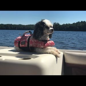 Meet your Posher, Caroline